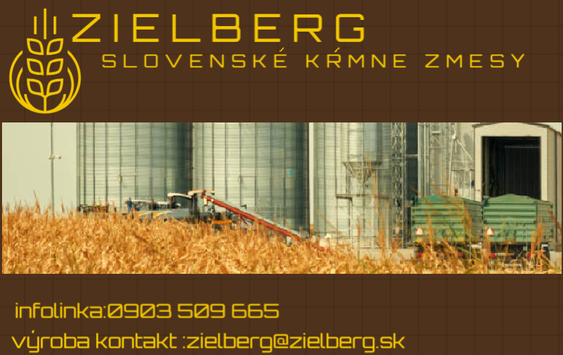 Zielberg
